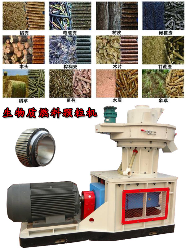 國內(nèi)外生物質(zhì)燃料顆粒機(jī)應(yīng)用現(xiàn)狀的疑問！